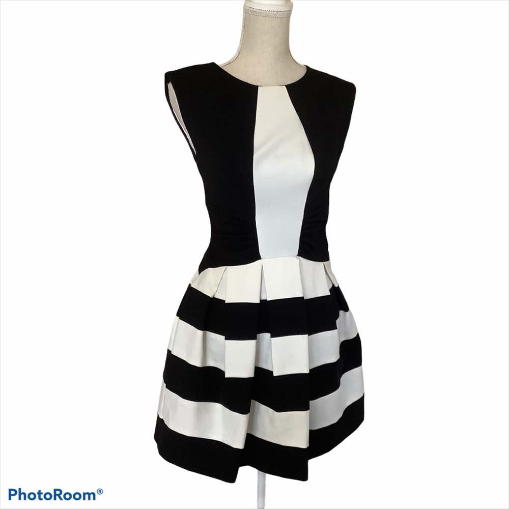 Eva Franco Black & White Striped Dress